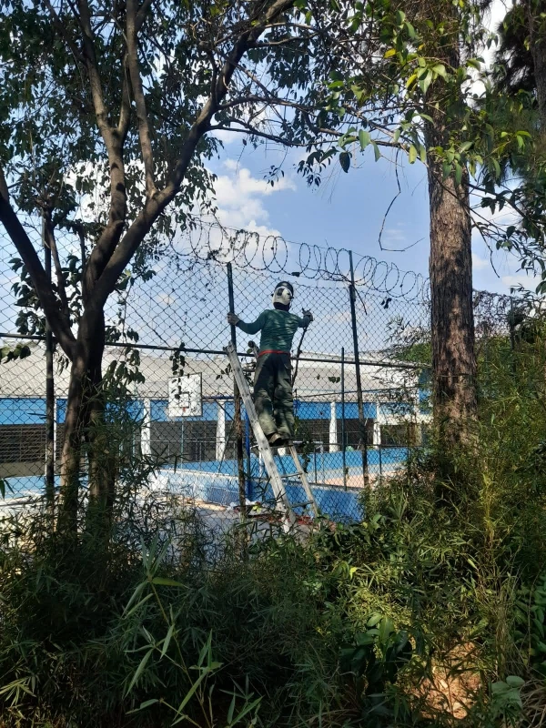 Laudo para poda de árvore